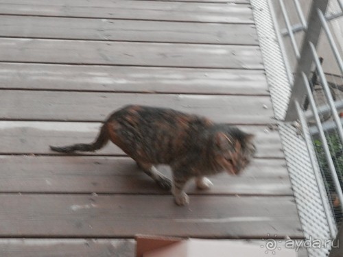 Иерусалим - город царя Давида