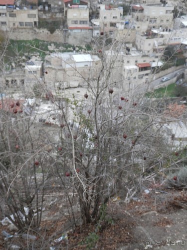 Иерусалим - город царя Давида