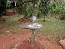 Шри-Ланка - Сад специй