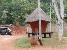 Шри-Ланка - Сад специй