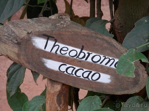 Шри-Ланка - Сад специй