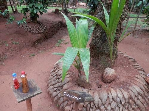 Шри-Ланка - Сад специй