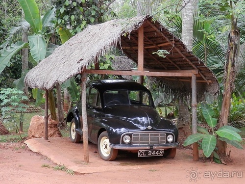 Шри-Ланка - Сад специй