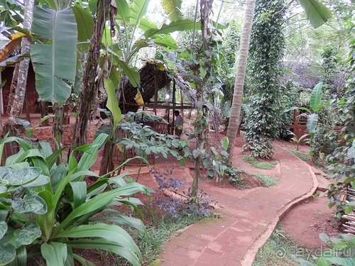 Шри-Ланка - Сад специй