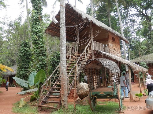 Шри-Ланка - Сад специй