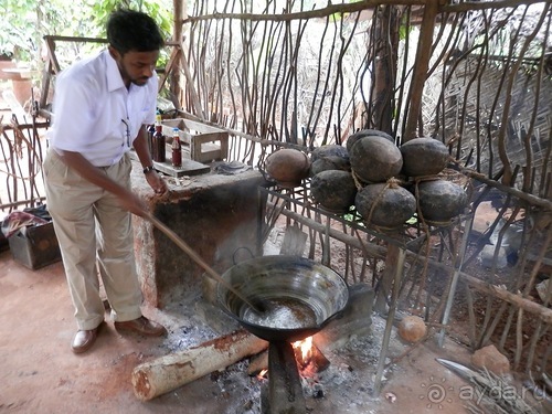 Шри-Ланка - Сад специй