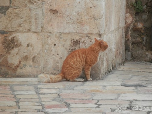 Иерусалим - от мельницы Монтефиоре до града Давида