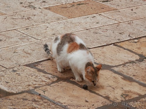 Иерусалим - от мельницы Монтефиоре до града Давида