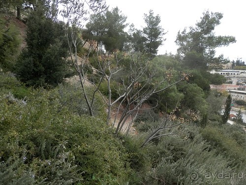 Иерусалим - от мельницы Монтефиоре до града Давида