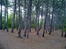 Крым, Ялта, Ливадия