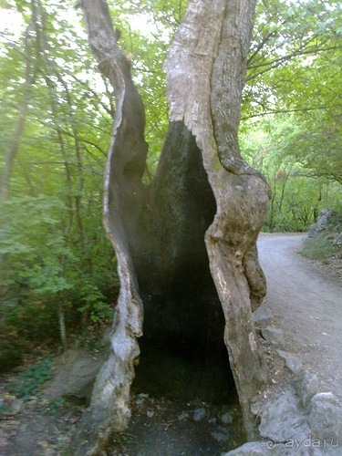 Крым, Ялта, Ливадия