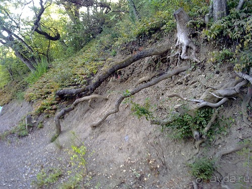 Крым, Ялта, Ливадия