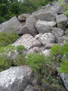 Крым, Ялта, Ливадия