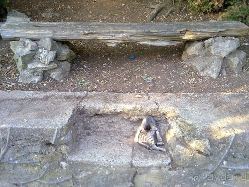 Крым, Ялта, Ливадия