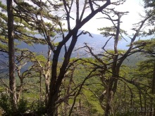 Бахчисарай