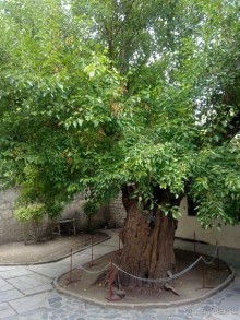 Бахчисарай