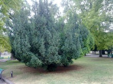 Бахчисарай