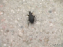 Бахчисарай