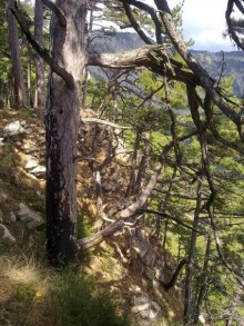 Бахчисарай