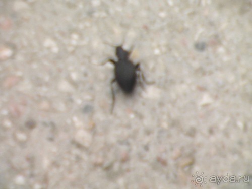 Бахчисарай