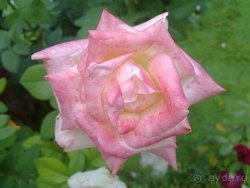 Бахчисарай