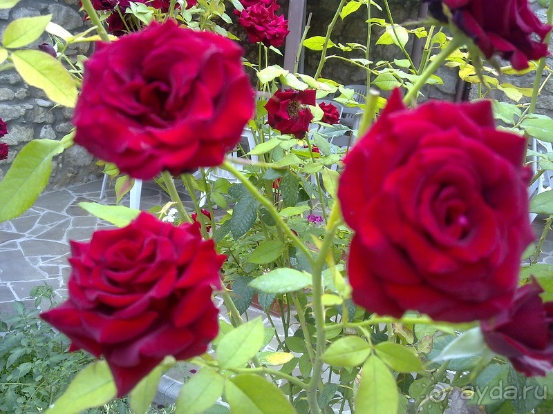 Бахчисарай