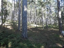 На лошади по окрестностям Ялты