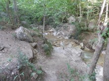 На лошади по окрестностям Ялты