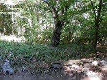 На лошади по окрестностям Ялты