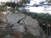 На лошади по окрестностям Ялты