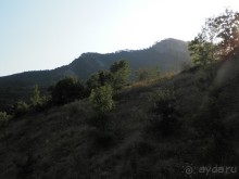 На лошади по окрестностям Ялты