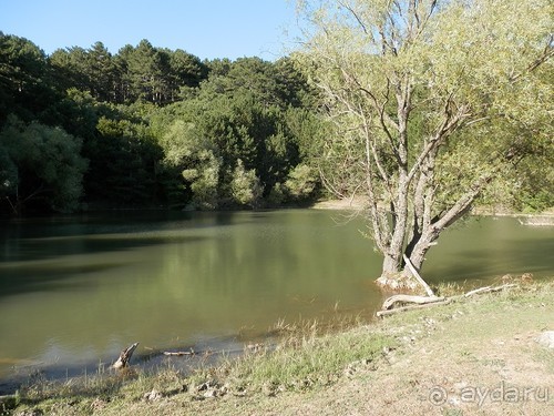 На лошади по окрестностям Ялты