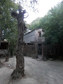 На лошади по окрестностям Ялты