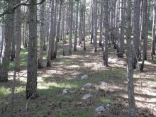 На лошади по окрестностям Ялты