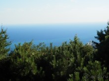 На лошади по окрестностям Ялты