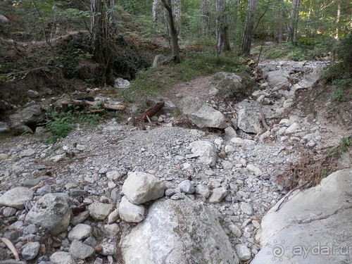 На лошади по окрестностям Ялты