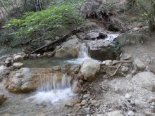 На лошади по окрестностям Ялты