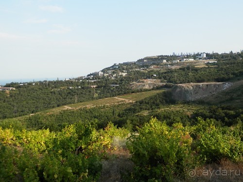 На лошади по окрестностям Ялты