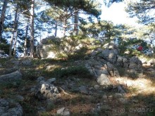 На лошади по окрестностям Ялты