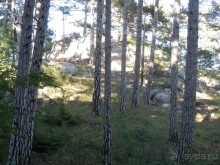 На лошади по окрестностям Ялты