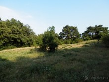 На лошади по окрестностям Ялты