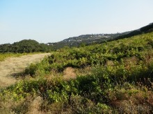 На лошади по окрестностям Ялты