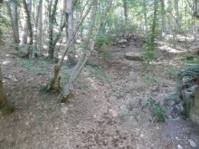 На лошади по окрестностям Ялты