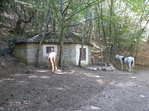 На лошади по окрестностям Ялты