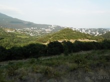 На лошади по окрестностям Ялты