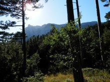 На лошади по окрестностям Ялты