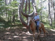 На лошади по окрестностям Ялты