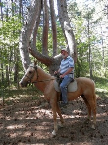 На лошади по окрестностям Ялты