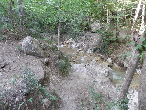 На лошади по окрестностям Ялты