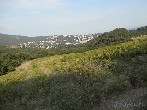 На лошади по окрестностям Ялты